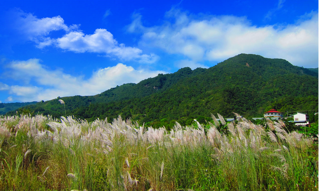 山莊四季景觀